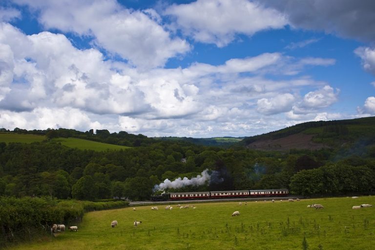 The Train Ride - Bodmin Railway